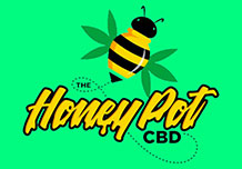 best buy logo design