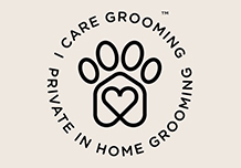 best buy logo design