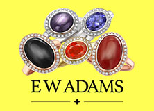 business logo design