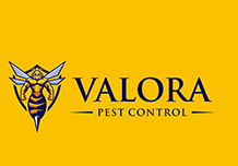 best buy logo design